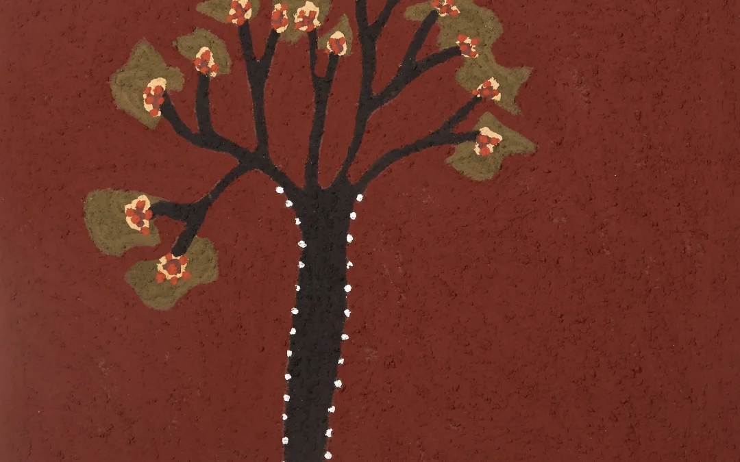 Dayimbalji (Red Flowering Kurrajong)