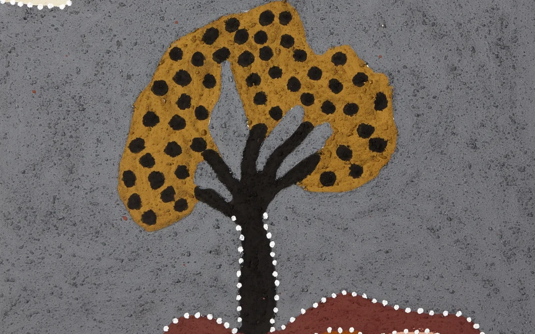 Gooweriny (Cypress Pine)